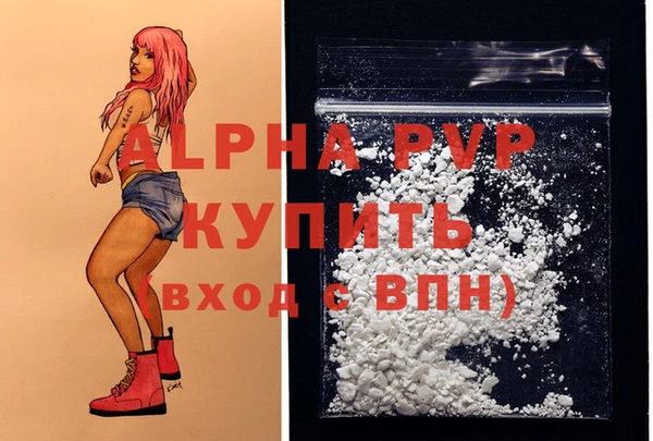 спиды Лиски
