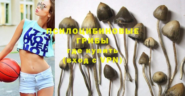 спиды Лиски