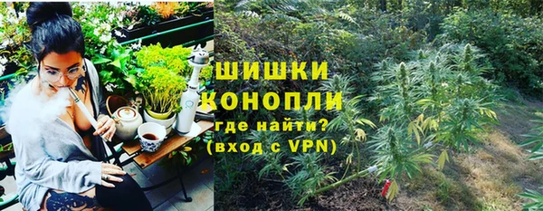 спиды Лиски