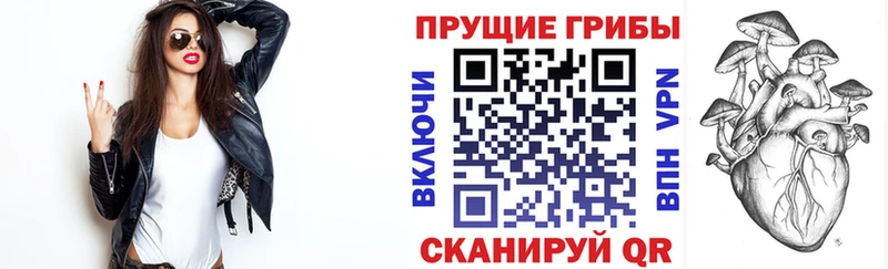 Псилоцибиновые грибы Magic Shrooms  Купить  Тырныауз 